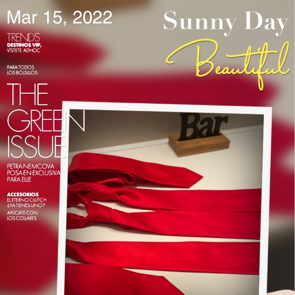 5 Solid Red Polyester Mens Tie(s) BUNDLE PRICE for All 5 Ties❗️ - Picture 5 of 16